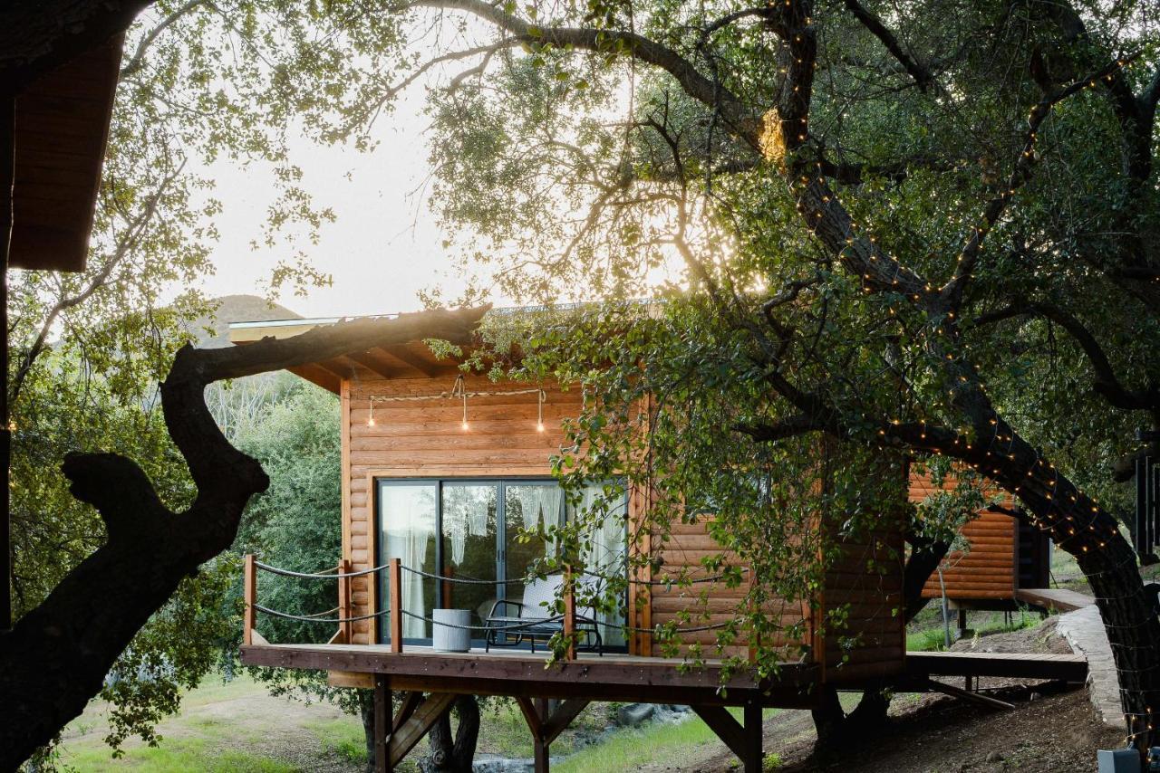 BoskenVid Hotel Boutique Valle de Guadalupe Extérieur photo