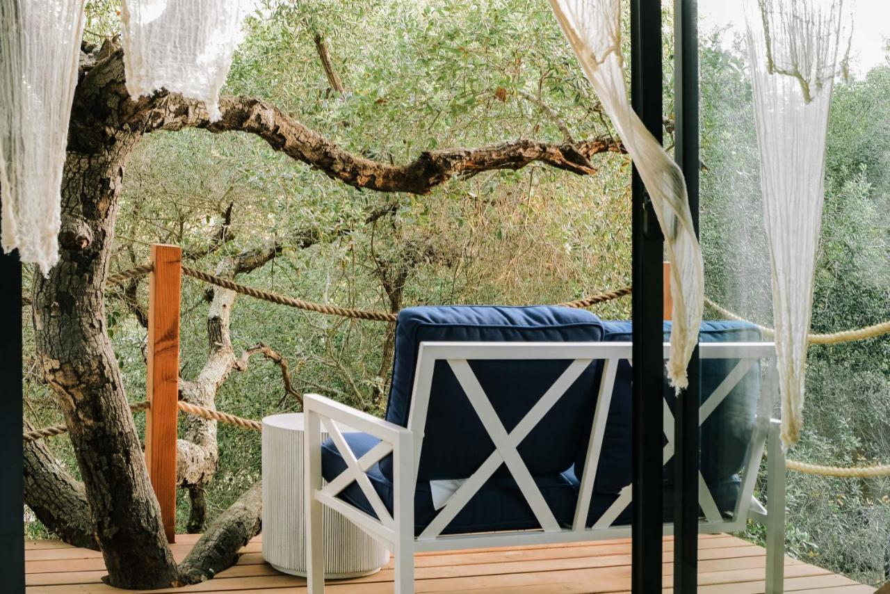 BoskenVid Hotel Boutique Valle de Guadalupe Extérieur photo